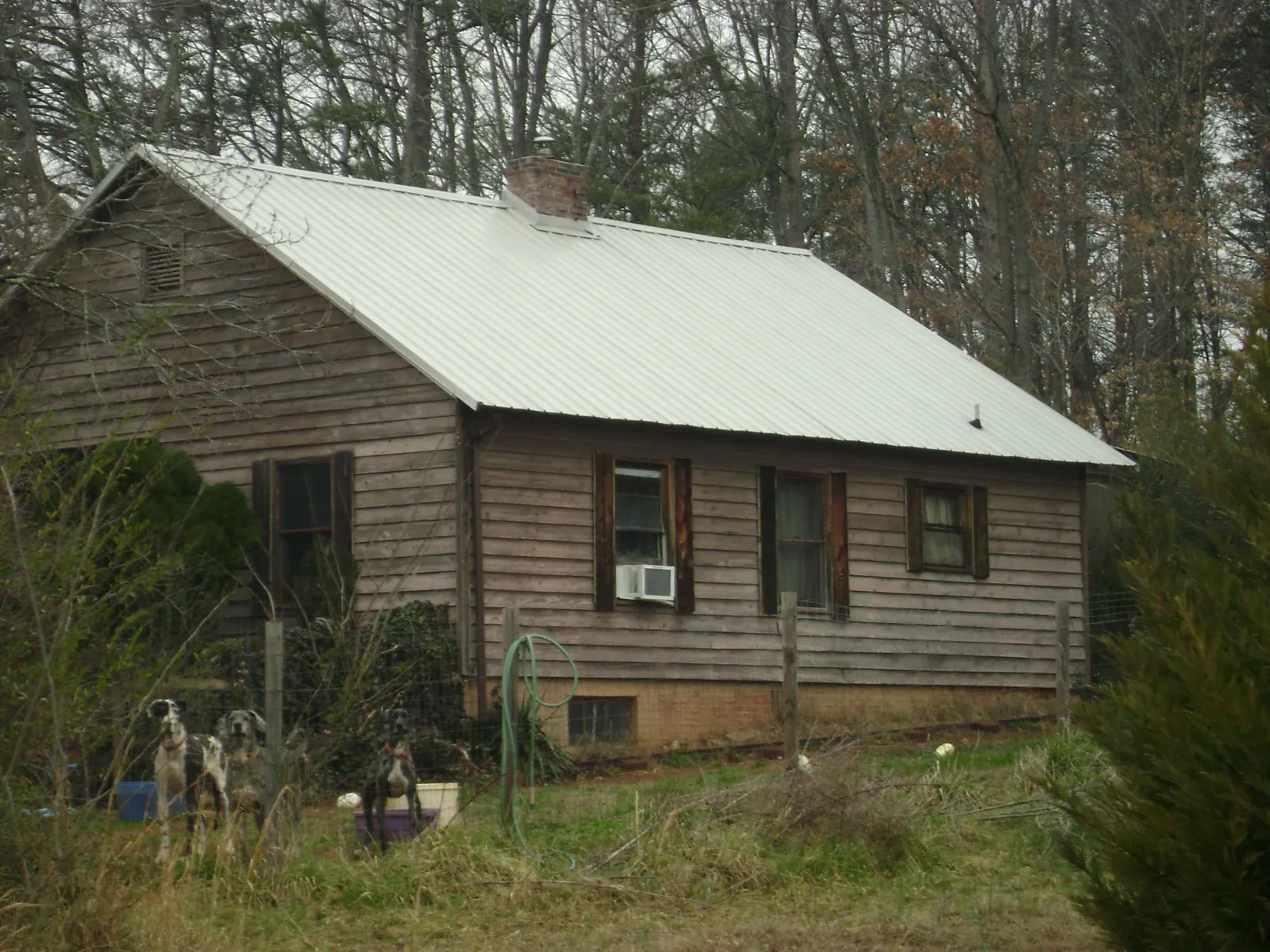 White metal roof on an old wood sided farmhouse, from a Asphalt Shingle Roof Repair job in Blodgett Mills
